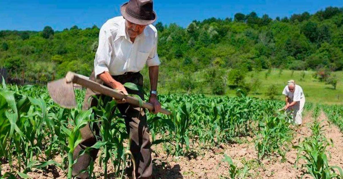 Imagem sobre Trabalho rural remoto exercido antes de 1991 pode ser computado para aposentadoria híbrida por idade